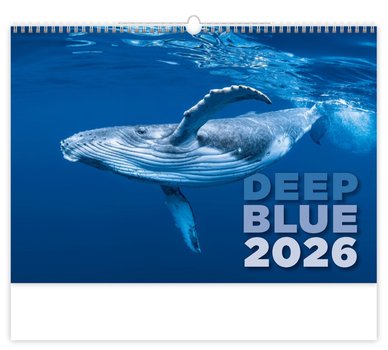 nstnn kalend Deep Blue