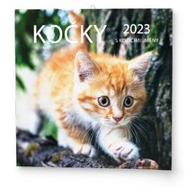 Nástěnný kalendář - Poznámkový - Kočky