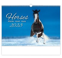 Nástěnný kalendář - Koně