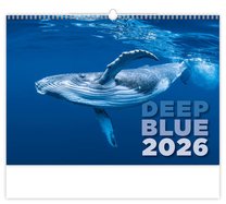 nástěnný kalendář Deep Blue